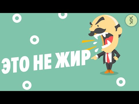 Шварц в Ленинграде 1920–30-х | Лекция из курса «Евгений Шварц. Добрый сочинитель страшных сказок»
