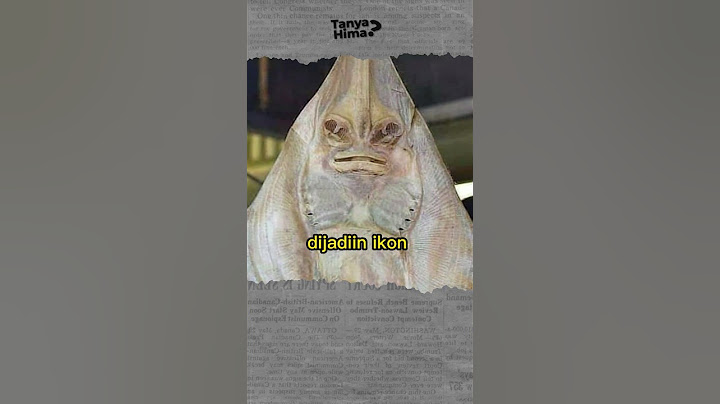 GAMBARAN ANAK DURHAKA! Kegiatan Ikan LEGENDARIS di Indonesia Saat Ini #shorts
