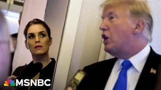 In the room where it happened,’ Hope Hicks’ testimony ‘puts you there’