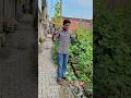 सपना सच हो गया🤣😁#comedyvideo #funnymoments #funnyvideo #comedyclub #youtubeshorts #trendingshorts