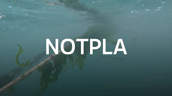 Notpla | Morgan Stanley 2022 Sustainable Solutions Collaborative