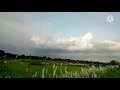 Nature video #short video