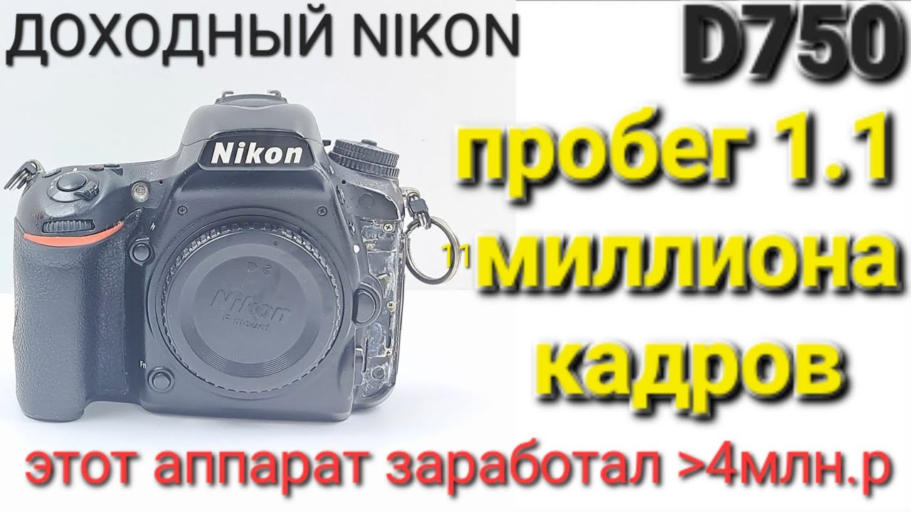 фотоаппарат для дохода. Nikon d750 замена затвора на 1.1млн кадров ...