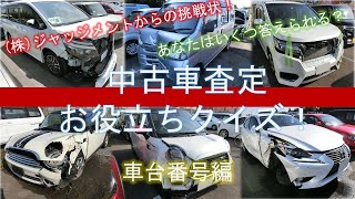 ジャッジメントからの挑戦状！①中古車査定お役立ちクイズ・車台番号編