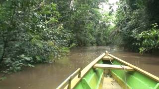 Expédition Dans La Jungle Amazonienne - Oeilduvoyageur