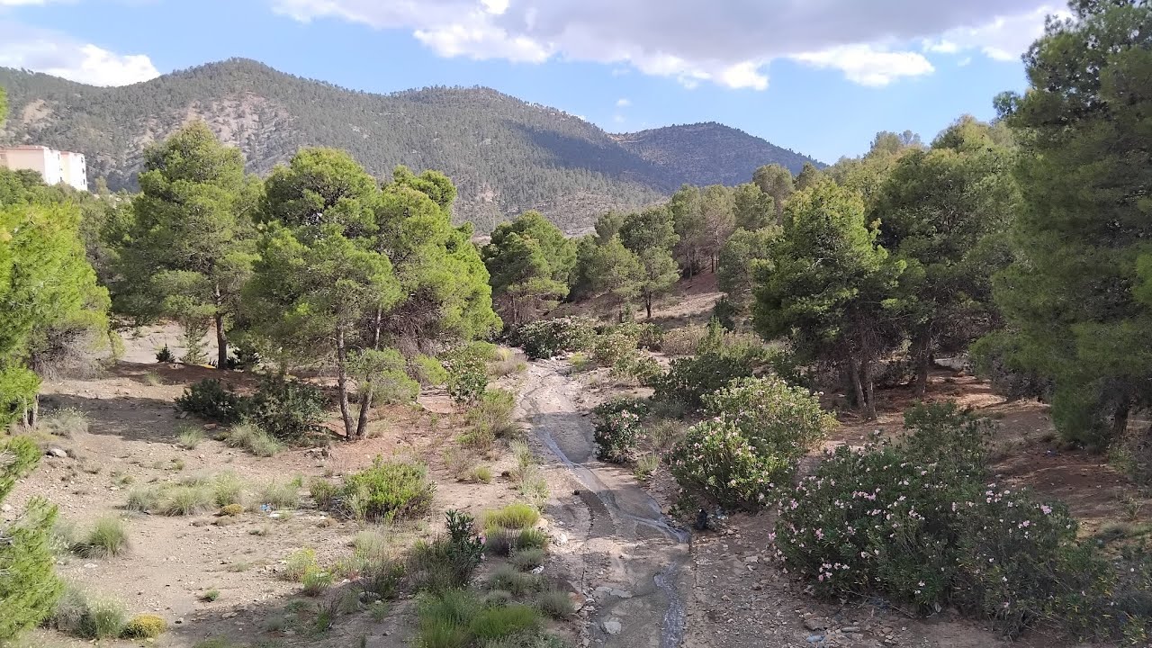 ⴰⵔⵔⵉⵙ 📍 آرّيس 📍 Arris 📍 ⵉⵖⵥⴻⵕ ⴰⵎⴻⵍⵍⴰⵍ 🏞🤍 إغژر آملّال 🏞🤍 iɣẓeṛ amellal 🏞🤍