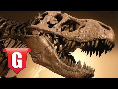 Video: Novi Fosili Dinosaura Doveli Su Do Iznenađujućih Otkrića - Alternativni Prikaz