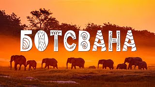 Сафари моей мечты. Ботсвана, Южная Африка / Botswana. Travel documentary