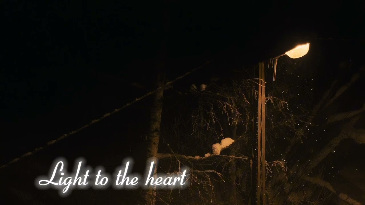 سورة يوسف القارىء مشاري الفالح|#reels #relaxing