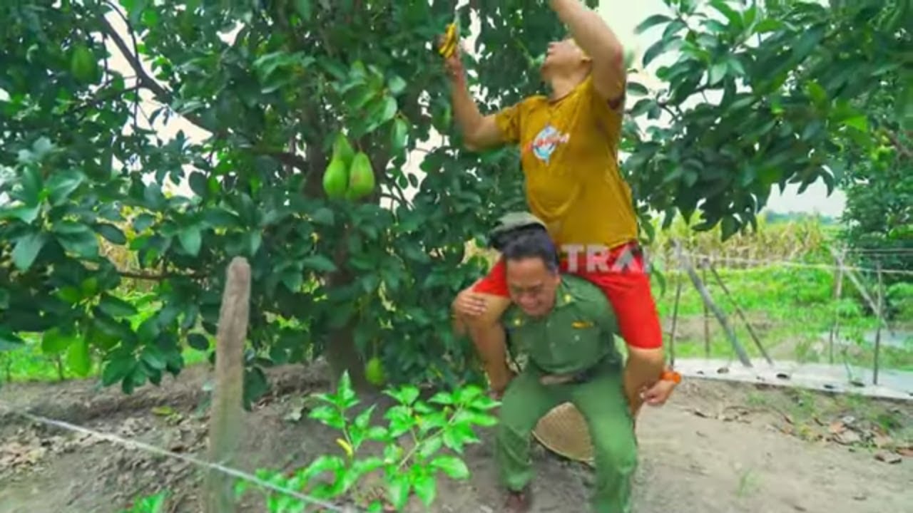 Unik Nikmat Tostada Alpukat Kelud | JEJAK SI GUNDUL (27/01/25)