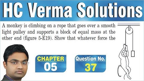 A monkey is climbing on a rope that goes over a smooth light pulley and supports a block