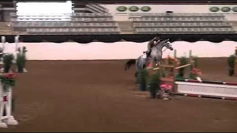Video of HERON ridden by JOANNA SCHROEDER from Sho...