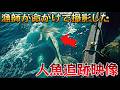 【閲覧注意】漁師が命がけで撮影した10の人魚追跡映像…見終わったら二度と海に出たくなくなる、深海禁区に潜む正体不明の生物の真実