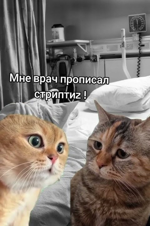 😂 Надень очки 😂 - YouTube