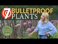 🔫🌻🔫 7 EASY PERENNIALS ANYONE CAN GROW || Linda Vater