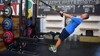 TRX High Row to Rotation