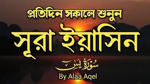 প্রতিদিন সকালে শুনুন সুরা ইয়াসিন  سوره يسن  Surah Yaseen Quran Tilawat 