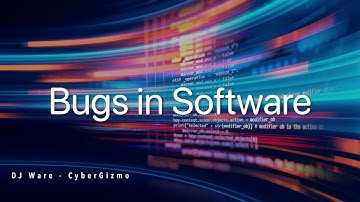Bugs in Software