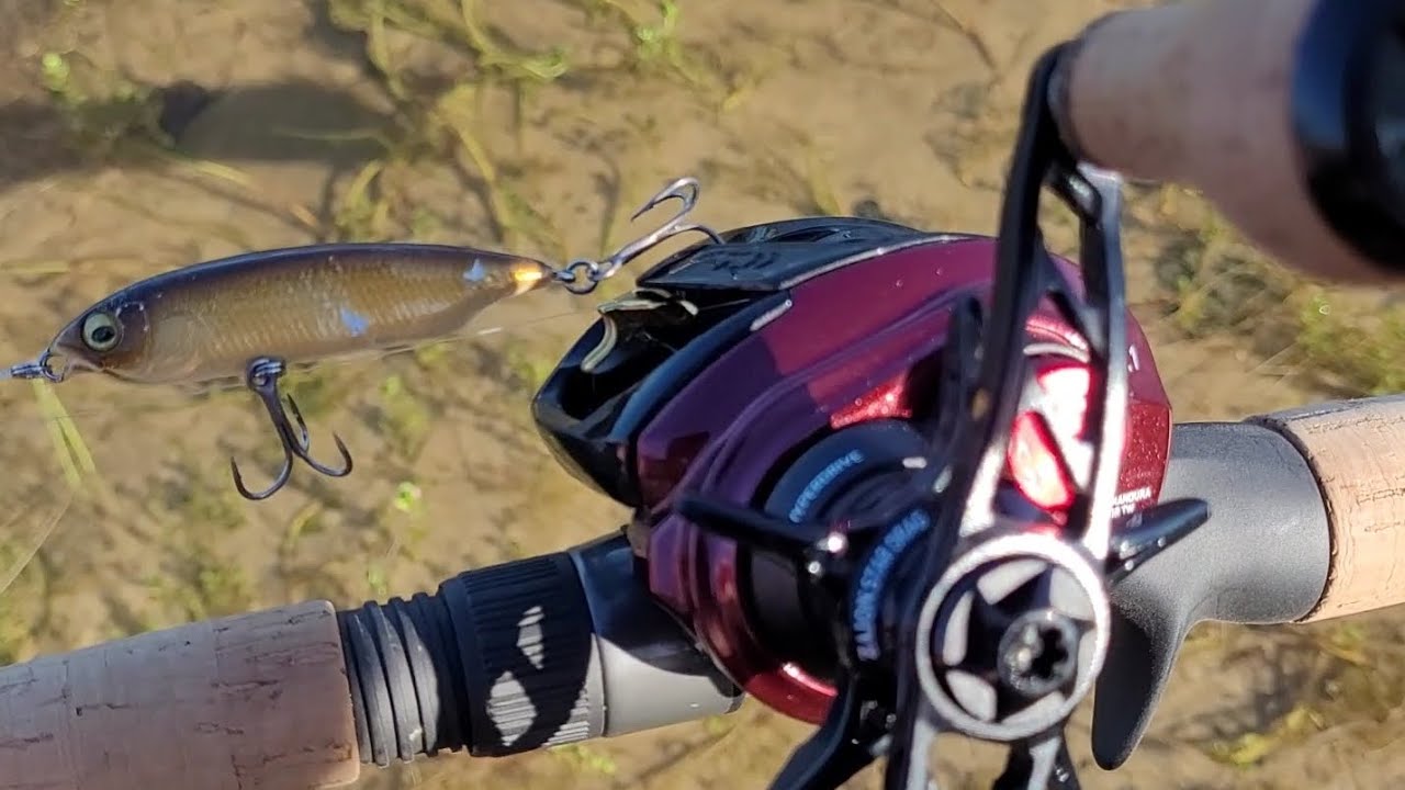 BFS FISHING!     #bassfishing #daiwa
