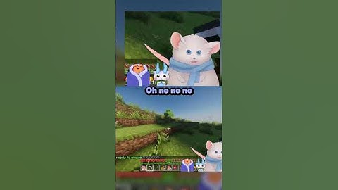 Minecraft Youtuber Curse