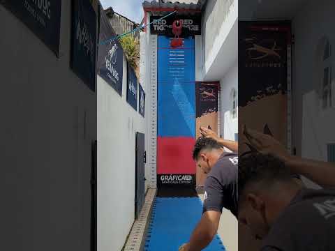 ABSUUUUURDOOOO #dog #pitbull #viral