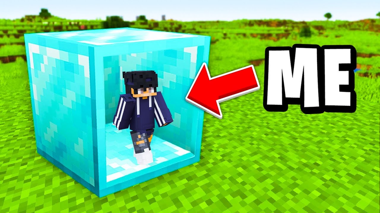 Minecraft But I Can Go INSIDE ANY BLOCK!