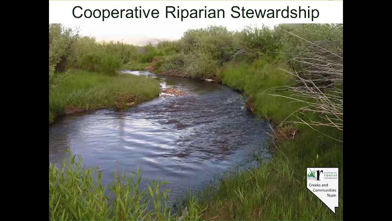 Riparian PFC Slide Sets A - Creeks and Community - YouTube