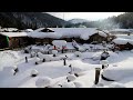 Live: Feel the joy of northeast China's Snow Town - Ep.3 冬日雪乡-冰雪王国里的童话小镇