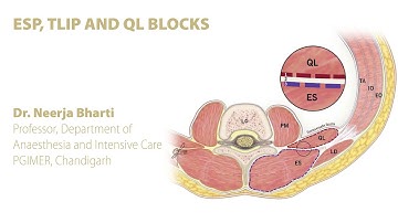 ESP (erector spinae plane), TLIP(thoracolumbar interfascial plane) AND QL BLOCKS