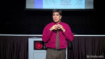 [PSYC200] 8. Neuroscience Part 2: Neurotransmitters