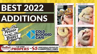 Famous Top Ten Ball Python Additions of 2022! Wealth