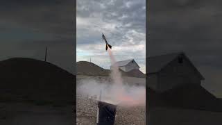 Launching A Dinosaur Into Space