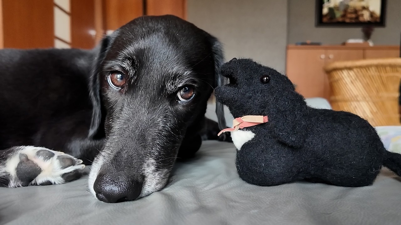 Dog Vlog] A dog beautifully recreated in wool felt. - YouTube
