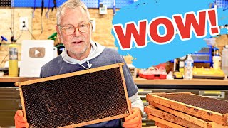 Beekeeping: The Surprising Aftermath of Combining Hives