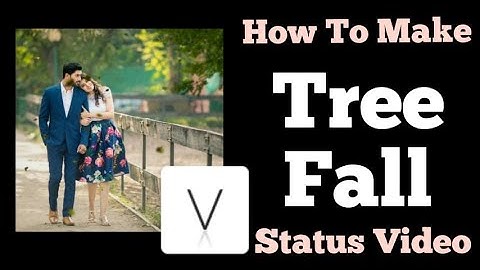 Leaf Fall Status Video | Vimage App Editing | Love WhatsApp Status Video | Tree Fall Video Editing