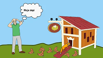 Jak vybrat správnou nosici slepiček?