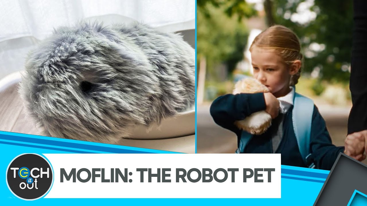 Can Robots Replace Pets? | Artificial Intelligence | Tech It Out
