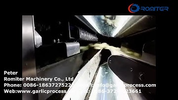 Automatic Garlic Clove Color Sorting Machine for Sale