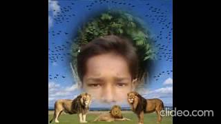 img 4 1572956398751 omgru9zojpg LLHV