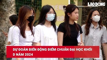 Dự đoán biến động điểm chuẩn đại học khối D năm 2024| Báo Lao Động