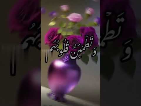 ٦ يونيو ٢٠٢٣