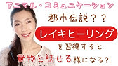 ペットと話せるようになる意外な秘訣を公開 アニマルコミュニケーション Youtube