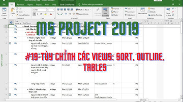 MS Project 2019- Tùy chỉnh các views: Sort, Outline, Tables_19