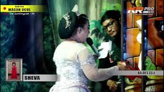 GUGUR / SANDIWARA PANCA INDRA / BARITAN / MACAN UCUL JUNTINYUAT / 29.11.21