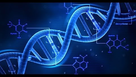 Gene Expression. (Chapter 3)