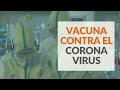 Coronavirus: China y Estados Unidos desarrollan vacunas contra virus respiratorio