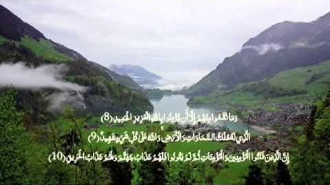 سورة البروج - وديع اليمني