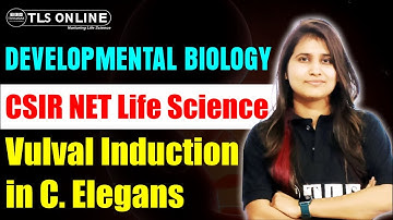 Developmental Biology - Vulval Induction in C. Elegans | CSIR NET Life Sciences | Shruti Shukla |