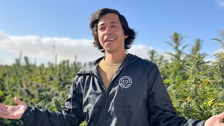 This Is Where You Get Your Concentrates