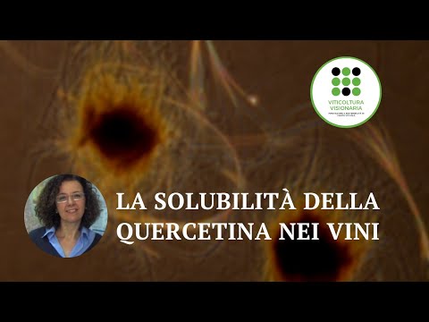 Video: Sulla solubilità della quercetina?